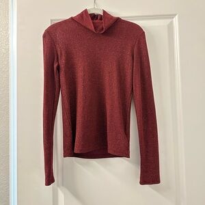 Express Turtleneck Shimmer